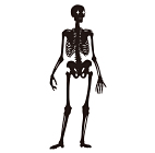 D-018