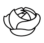 D-046