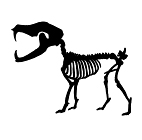 D-053